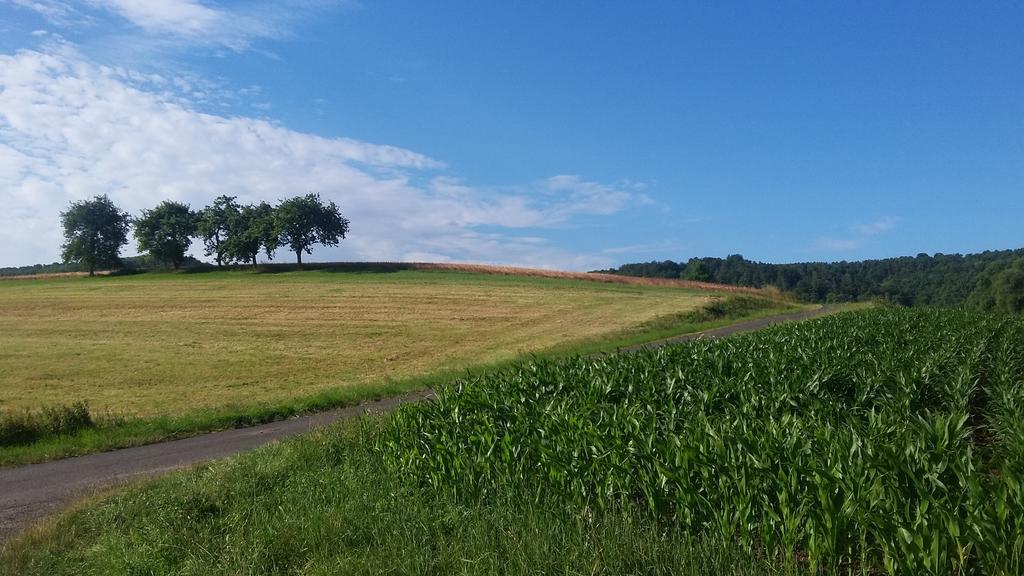 Landgasthof Zur Untermuehle Datterode Экстерьер фото
