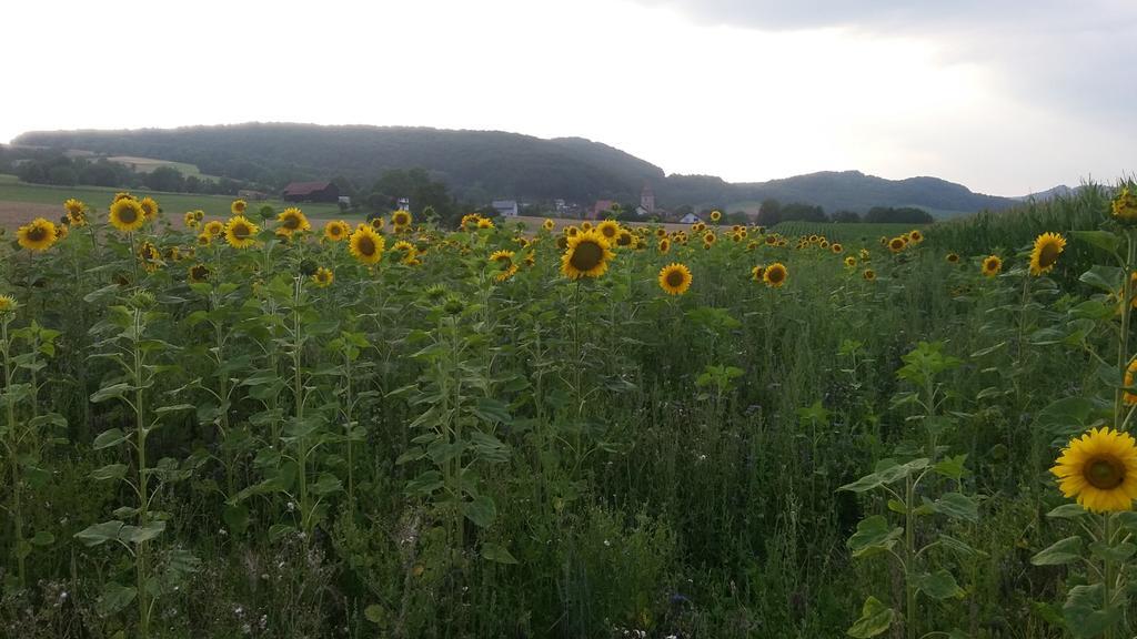 Landgasthof Zur Untermuehle Datterode Экстерьер фото